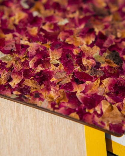 MEMEXO® Roses