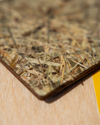 MEMEXO® Hay