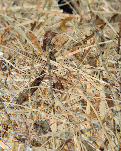 MEMEXO® Hay